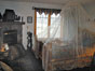 Safari Room